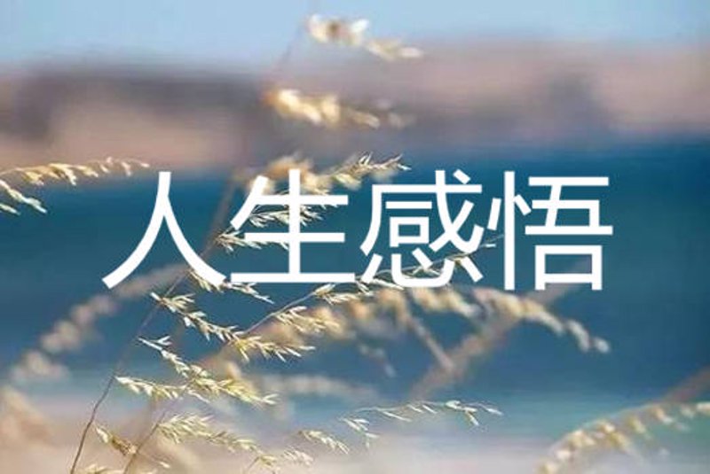 “你给过我多少爱，我就给你回多少爱。”这句话在日常生活中同样适用。今天，我们就来聊聊——生活分享给了谁？爱就给了谁。