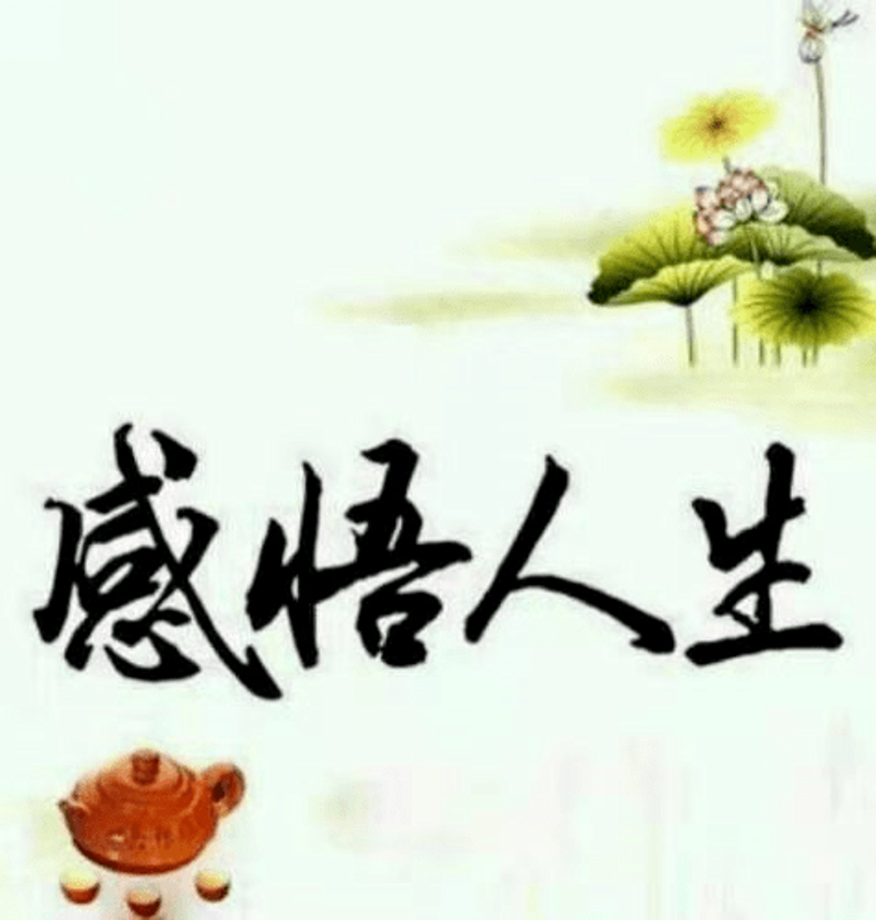 如何用一句话赞美一幅摄影作品?